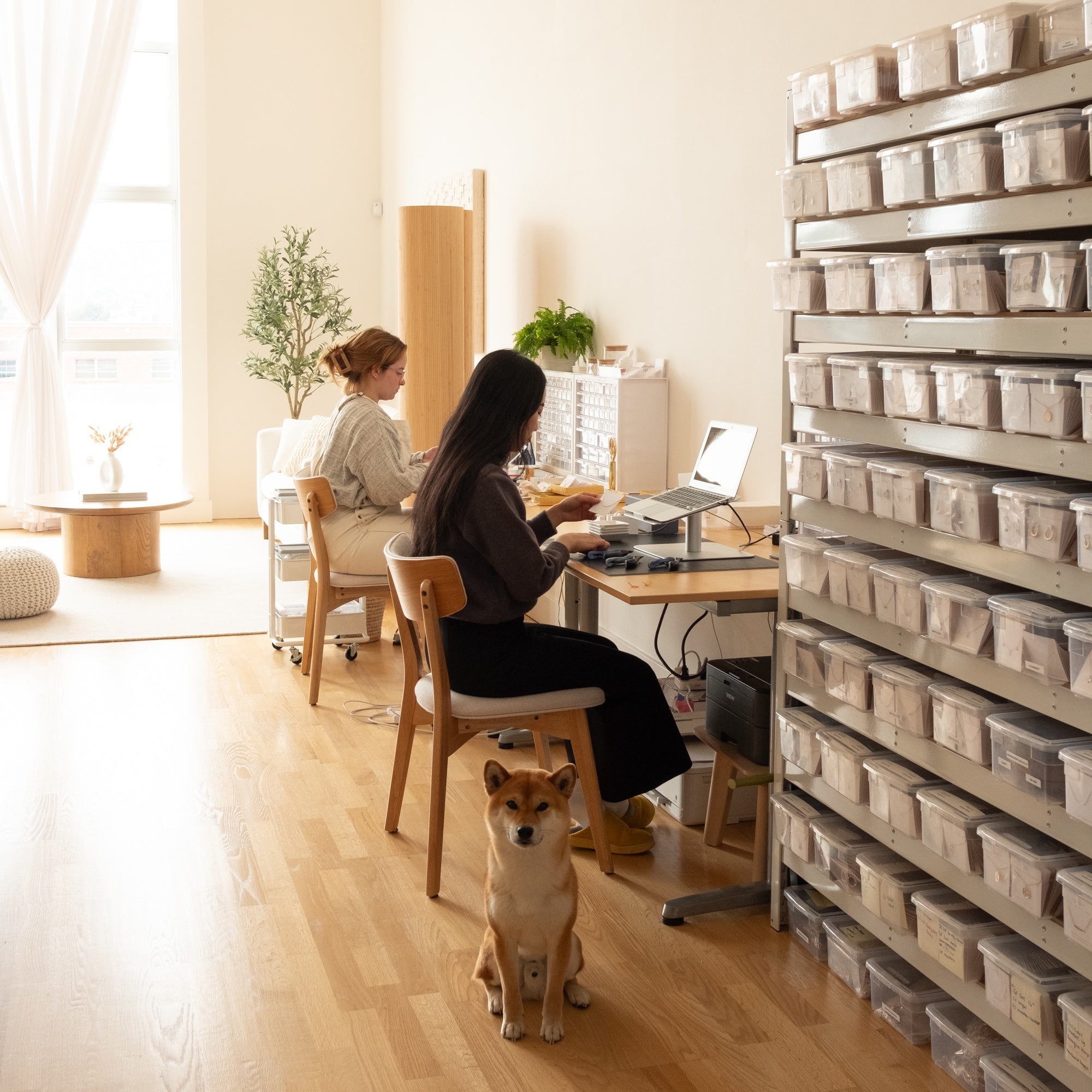 Simple & Dainty studio