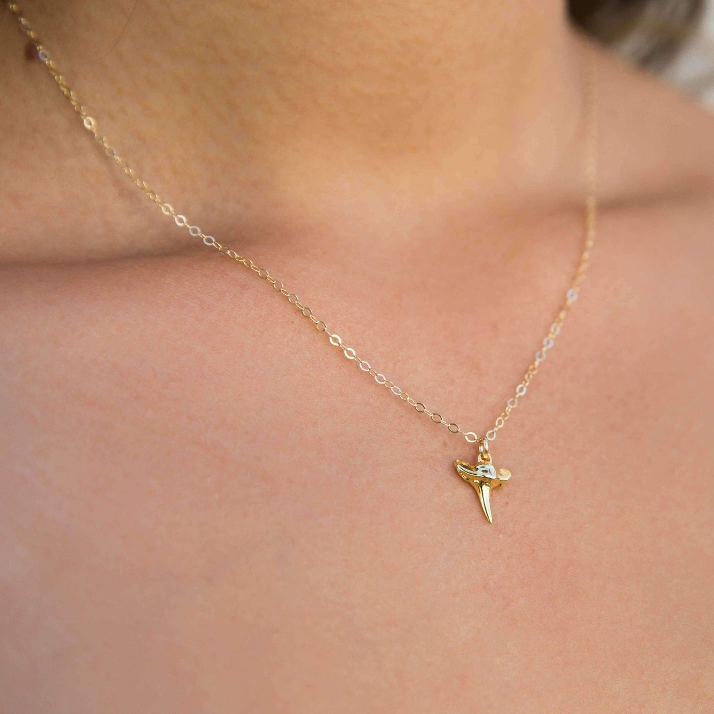 Tiny Shark Tooth Necklace | Simple & Dainty